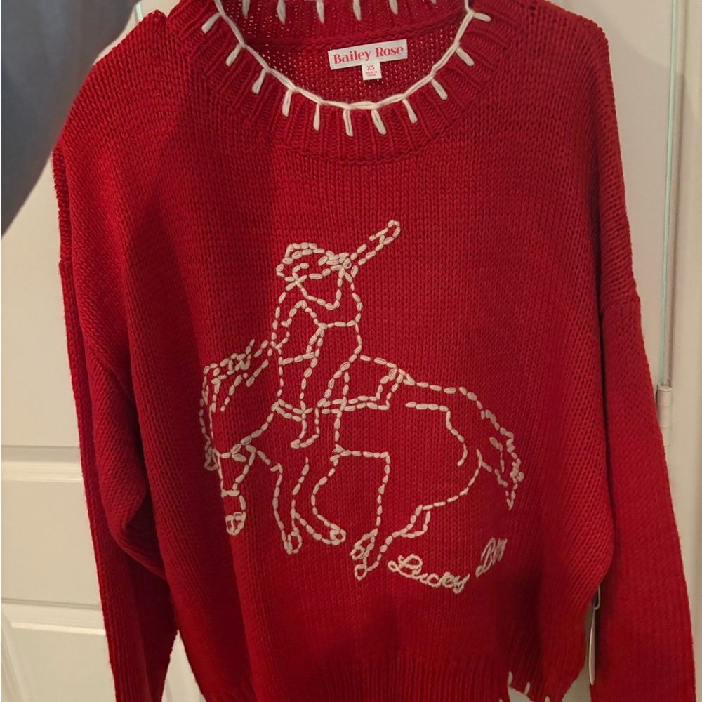 Bailey Rose Red Crew Neck Sweater with Embroidered Design